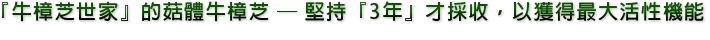 『牛樟芝世家』的菇體牛樟芝 ─ 堅持『3年』才採收，以獲得最大活性機能