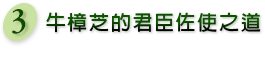 03.牛樟芝的君臣佐使之道