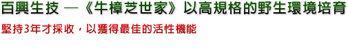 百興生技－《牛樟芝世家》以高規格的野生環境培育