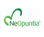 法國仙人掌Opuntia商品